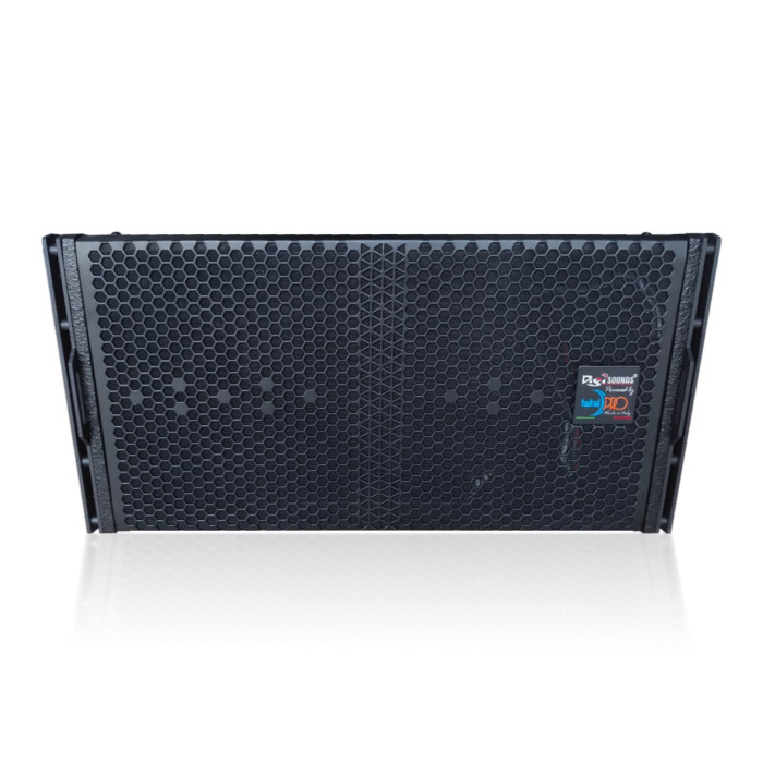 Linear Array Speaker System - DS10 MKII
